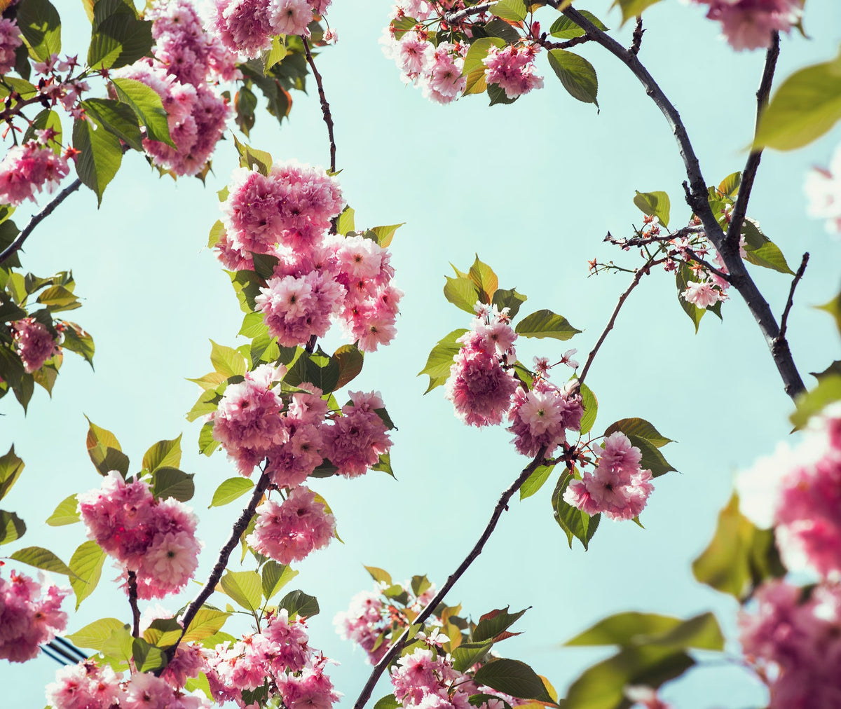 Choosing a wedding date by season