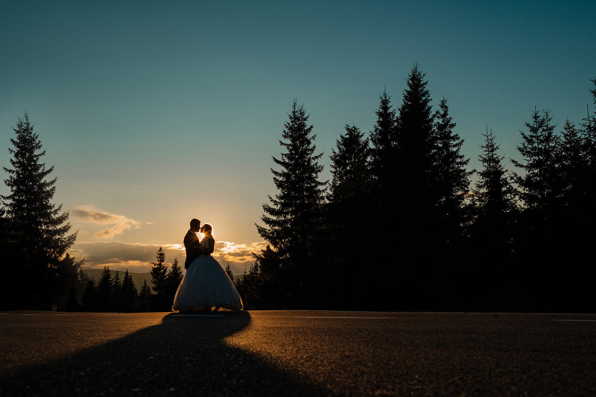 Desert wedding portrait light