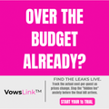 Wedding Budget Tracker — Already Over Budget? Fix It Live | VowsLink · $1 Trial